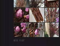 起死回生的句子