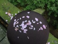看人长处，帮人难处，记人好处