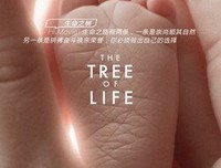 原创句子
