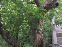 几米经典的句子