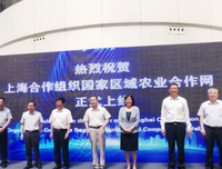 小组合作学习