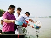 父亲的爱，稳稳的，妥妥的，从来都是无言的