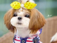 倾诉|辛苦攒给女儿的6万块择校费，被婆婆强行拿去给她