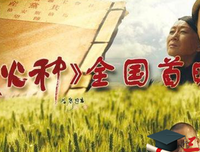 《大火种》的观后感大全
