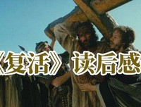《诉讼中》经典读后感有感