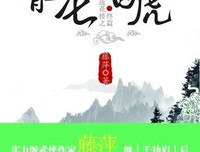 《吉祥纹莲花楼终篇之青龙·白虎》读后感摘抄