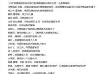《完美的间谍》读后感锦集