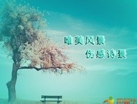 关于铁石心肠的唯美语录