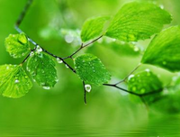 最新的《青春美文封底》好段摘抄
