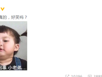 秦岚，你凭什么这么狂？