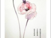 哭的优美句子