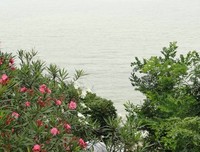 面朝大海，春暖花开名句欣赏