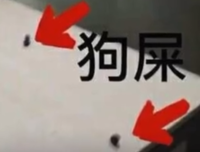 这种工作都是狗屎