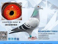 有关漂洋过海的美文美句摘抄
