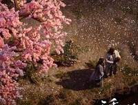 15条关于隐姓埋名的经典语句