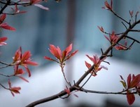 生活没有桃花源，自在便是水云间