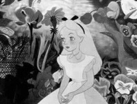 《高考灰姑娘》经典观后感有感