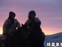 《大漠图腾》经典读后感有感