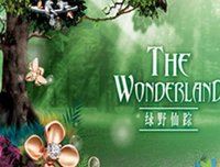 小祖宗1.0魔术师读后感100字