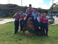 有关缭乱的城市，容不下我的痴的句子