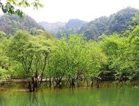 《上岸的魚》经典影评1000字