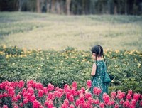 宛如花间读后感摘抄