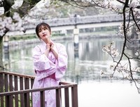《盛夏的樱花树》的读后感大全