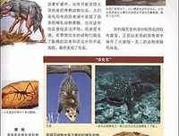 女孩的进化史读后感锦集