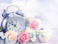 15条关于千姿百态的经典语句