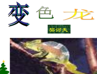楚为上去开月起为上去开句子