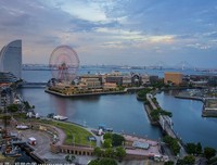横滨流星共演女演员浜辺美波，PCR检测呈阴性，网友终于