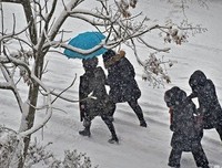茫茫人海中，为啥你一直是个单身狗？| 关于单身的真相