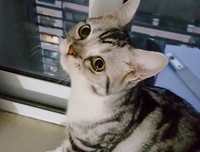 人生海海经典的句子