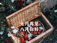 15条关于不声不响的经典语句