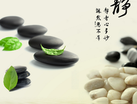 关于修身养性名言名句