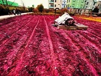 《红粉惊魂》好看吗？经典影评锦集