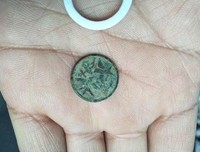 《日本明治维新：维新之岚》读后感锦集