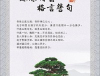 譬如说格言警句