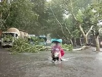 安徽人这次真把我看哭了！