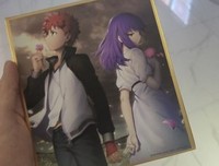 《命运之夜——天之杯II ：迷失之蝶》经典观后感集