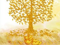 金玉王朝 第一部 夺玉读后感100字