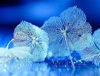 小说 影视 精华名句欣赏