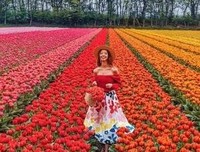 关于自觉上国计可施的优美句子