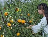 李子柒：努力生活的女孩，真美！