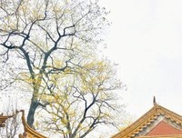 古意难鸣的句子