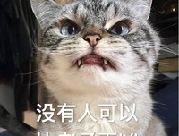 突然这么多好看的综艺，简直刷不过来了！