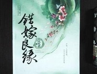 《错嫁良缘之洗冤录》读后感精选