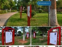 盛开的忧伤名句欣赏