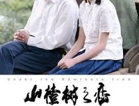 《疾风回旋曲》好看吗？经典影评锦集