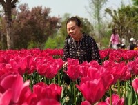 关于心凉怎暖的句子